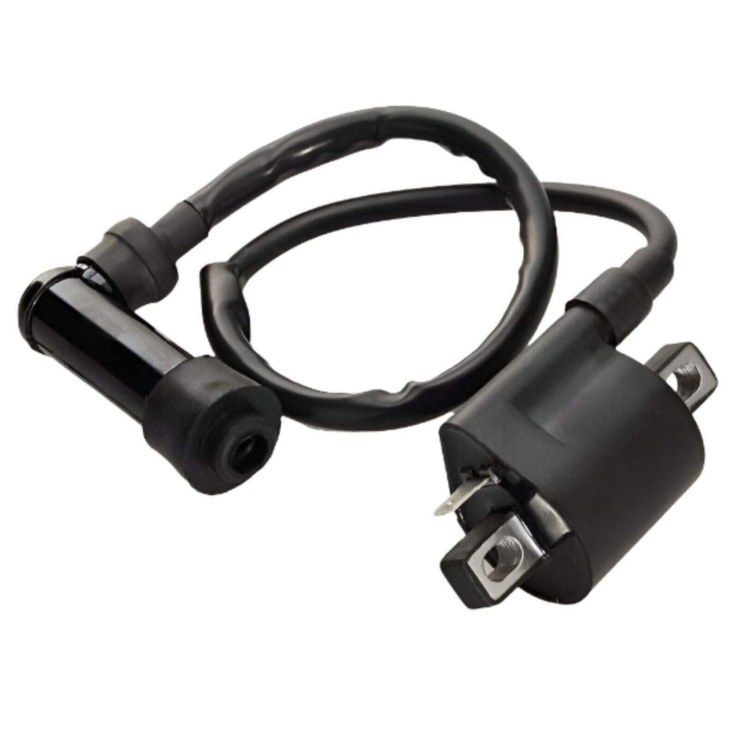 Ignition Coil Assembly Fits Polaris Sportsman Predator 50 90 2003-2006 OEM
