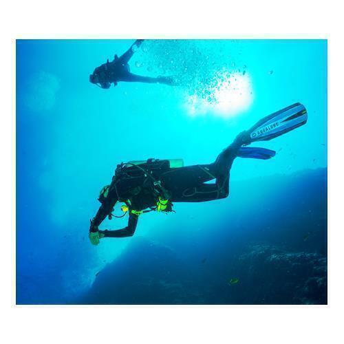 Compact Foldable Diving Snorkel with Carry Case