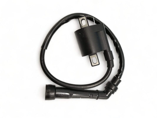 Fits Yamaha Grizzly 660 Ignition Coil Generic Replacement OEM Spec 5FU-82310-00-