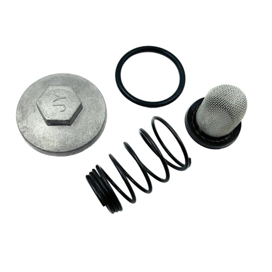 [139QMB 152QMI 157QMJ] Replacement Oil Drain Plug Gasket and Screen Set Fits Bao