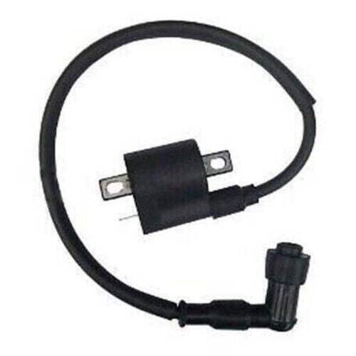 Generic Replacement Ignition Coil Fits Polaris Sportsman Predator 123456 789012