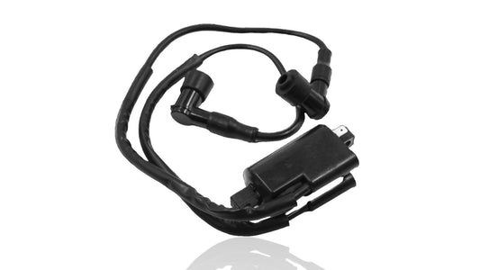 Generic Replacement Dual Plug Ignition Coil Fits Yamaha YFZ350 3LC-82310-01-00 S