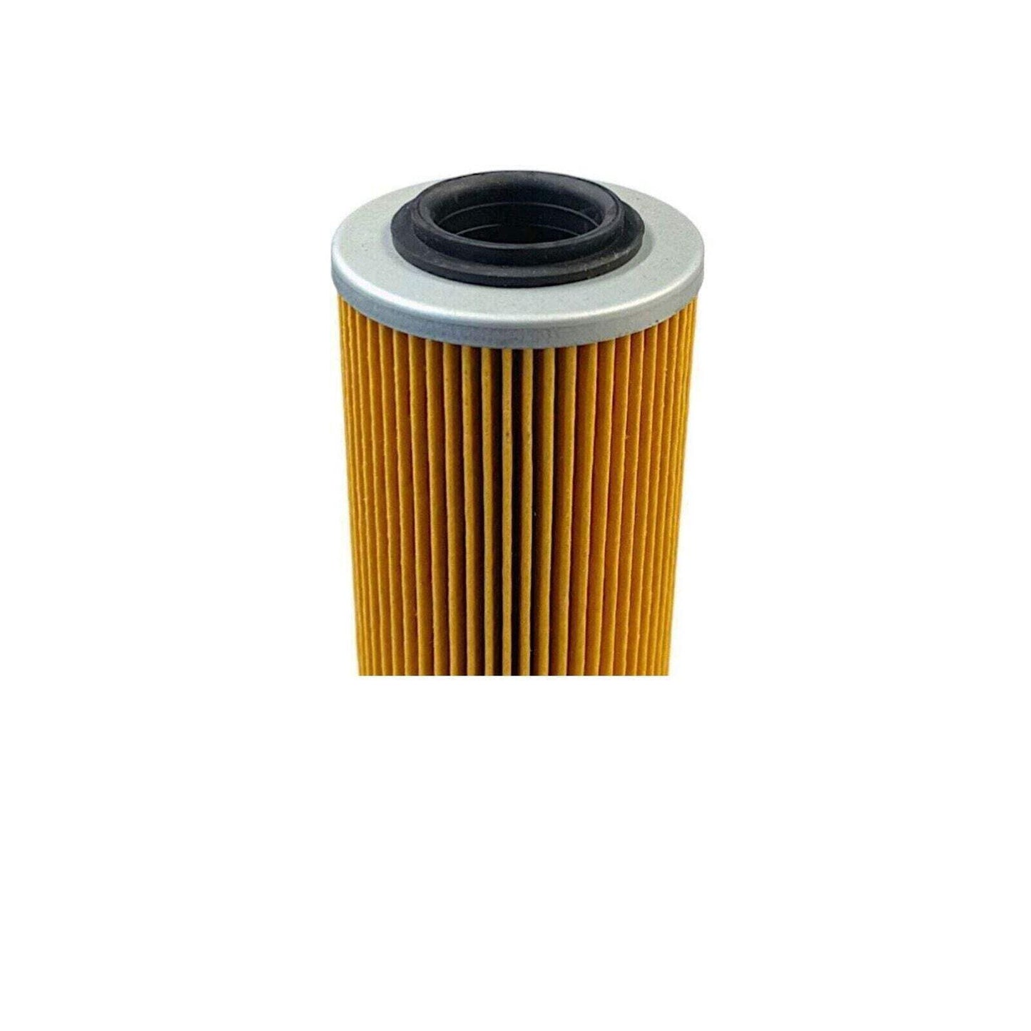 2-Pack Replacement Marine Oil Filter [420956741, 420956740, 420850500, 420950860