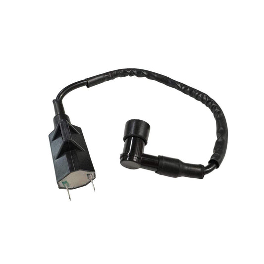 [21121-1160 21121-1198] Replacement Ignition Coil Replacement Bayou 250 Models 2